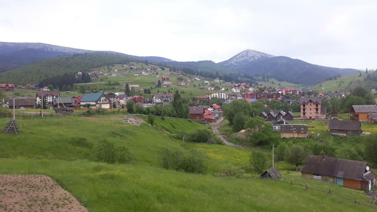 Bee House Поляниця Апартаменти Bukovel Exterior foto